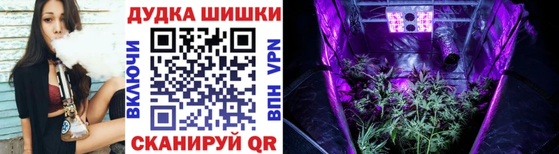 Бошки Шишки конопля Лебедянь